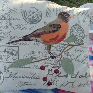 Oriole Throw pillow from the 1950's